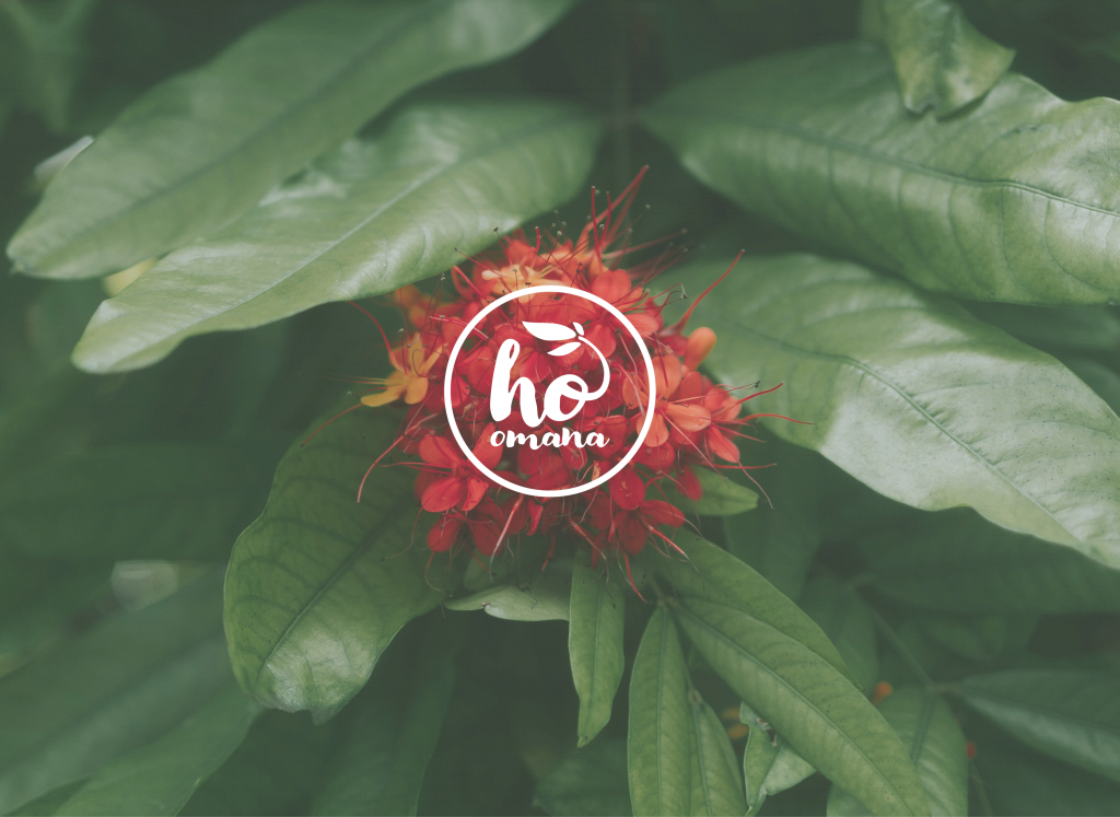 Logo pour la marque Ho’Omana, savon artisanal en Alsace